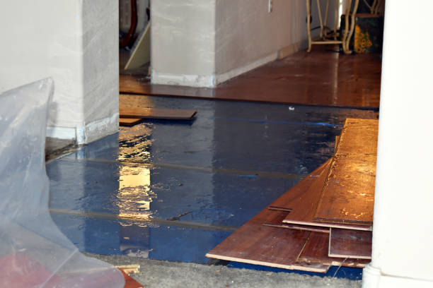Professional Sewage Cleanup technician working in Maeystown, IL